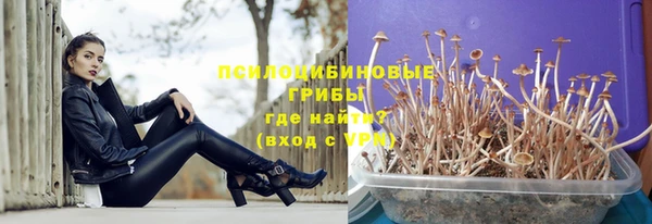 герыч Иннополис