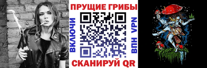 Купить  Могоча  Галлюциногенные грибы MAGIC MUSHROOMS 