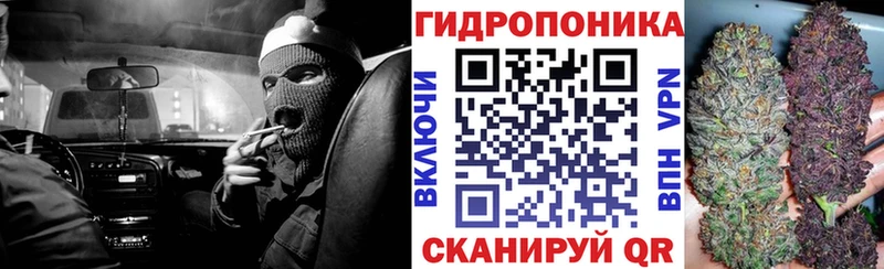 МАРИХУАНА семена  Купить где  Могоча 